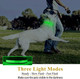 Led Dog Collar, Usb Rechargeable Pet Collar Adjustable With Steady Flashing/Strobe Light, Splashproof Dog Collar Light For Small Medium Large Dogs (M (15.8In20.5In), Green)