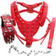 Breed Leather Spiked Studded Dog Harness,Collar & Leashes 3Pcs Set For Medium & Large Dog Pit Bull,Mastiff, Boxer, Bull Terrier (Spikes Red, M) Breed Leather Spiked Studded Dog Harness,Collar & Leashes 3Pcs Set For Medium & Large Dog Pit Bull,Mastiff, Boxer, Bull Terrier (Spikes Red, M)