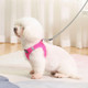 Pina Dog Harness For Small Dogs No Pull, Small Dog Harness And Leash Set, No Choke Breathable Mesh Dog Vest Harness, Lightweight Adjustable Small Medium Dog Harness - Easy To Put On And Take Off
