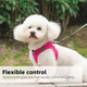 Pina Dog Harness For Small Dogs No Pull, Small Dog Harness And Leash Set, No Choke Breathable Mesh Dog Vest Harness, Lightweight Adjustable Small Medium Dog Harness - Easy To Put On And Take Off