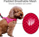Plutus Pet No Pull Dog Harness With Breathable Mesh Padded, Adjustable Reflective Escape Proof Dog Harness, Quick Fit Dog Vest Harness For Small Medium Large Dogs(Xs, Pink)