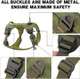 Plutus Pet Tactical Dog Harness, All Metal Buckles, No Pull Service Dog Vest With Handle, Adjustable Military Dog Harness With Hook & Loop Panels, For Small Medium Large Dogs, Ranger Green, S
