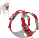 Plutus Pet No Pull Dog Harness, Release At Neck, Reflective Adjustable Dog Vest Harness, Easy Control Handle For Walking, For Small Medium Large Dogs, Red, L