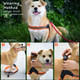 Dog Harness No Pull Ultra Soft Breathable Padded Pet Harness 2 Adjustable Botton, 3M Reflective Pet Harness For Dogs Easy Control For Small Medium Large Dogs