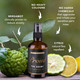 Pride And Groom Proud – Luxurious Dog Grooming Spray & Pet Deodorizer With Uniquely Uplifting, Fresh And Clean Signature Scent That’S Safe For Your Pet’S Sensitive Nose – 4 Fl Oz Pride And Groom Proud – Luxurious Dog Grooming Spray & Pet Deodorizer With Uniquely Uplifting, Fresh And Clean Signature Scent That’S Safe For Your Pet’S Sensitive Nose – 4 Fl Oz