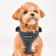 Puppia Junior Over-The-Head Dog Harness Checkered Pattern No Choke No Pull Adjustable Chest Belt Walking Training For Small And Medium Dog, X-Small, Pink