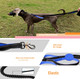 Shock Absorbing Bungee Leash,Three Handles With Soft Padded,Elastic Dog Leash, Reflective Stitching,Small Dogs & Large Breeds,Heavy Duty Dog Leash (Black With Blue Padded) Shock Absorbing Bungee Leash,Three Handles With Soft Padded,Elastic Dog Leash, Reflective Stitching,Small Dogs & Large Breeds,Heavy Duty Dog Leash (Black With Blue Padded)