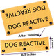 Dog Leash Sleeve Dog Reactive Training In Progress Lead Cover Leash Sign Service Dog Leash Wrap (Dog Reactive)