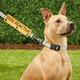 Dog Leash Sleeve Dog Reactive Training In Progress Lead Cover Leash Sign Service Dog Leash Wrap (Dog Reactive)
