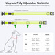 Led Light Up Dog Collars Micro Usb Rechargeable Waterproof, Full Adjustable Lighted Glow Dark Dog Collar Light For Night Walking For Small Medium Large Dogs, Green Led Light Up Dog Collars Micro Usb Rechargeable Waterproof, Full Adjustable Lighted Glow Dark Dog Collar Light For Night Walking For Small Medium Large Dogs, Green