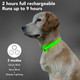 Led Light Up Dog Collars Micro Usb Rechargeable Waterproof, Full Adjustable Lighted Glow Dark Dog Collar Light For Night Walking For Small Medium Large Dogs, Green Led Light Up Dog Collars Micro Usb Rechargeable Waterproof, Full Adjustable Lighted Glow Dark Dog Collar Light For Night Walking For Small Medium Large Dogs, Green