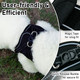 Dog Harness And Leash Set, Small Breed Pet Vest Harness With Soft Paded Air Mesh Adjustable Buckles Metal Ring No Pull For Small Medium Dogs Puppy, Black, Xs Dog Harness And Leash Set, Small Breed Pet Vest Harness With Soft Paded Air Mesh Adjustable Buckles Metal Ring No Pull For Small Medium Dogs Puppy, Black, Xs