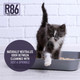 Pet Odor Eliminator, Removes Odor From Litter Boxes, Carpet, And Hard Surfaces, Even Removes Skunk Smell From Cats & Dogs, Plant Based Formula, Use Wet Or Dry, Hypoallergenic & Biodegradable Pet Odor Eliminator, Removes Odor From Litter Boxes, Carpet, And Hard Surfaces, Even Removes Skunk Smell From Cats & Dogs, Plant Based Formula, Use Wet Or Dry, Hypoallergenic & Biodegradable