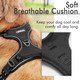 Rabbitgoo Dog Harness, No-Pull Pet Harness With 2 Leash Clips, Adjustable Soft Padded Dog Vest, Reflective No-Choke Pet Oxford Vest With Easy Control Handle For Large Dogs, Black, L Rabbitgoo Dog Harness, No-Pull Pet Harness With 2 Leash Clips, Adjustable Soft Padded Dog Vest, Reflective No-Choke Pet Oxford Vest With Easy Control Handle For Large Dogs, Black, L