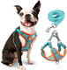 Rennaio Dog Harness No Pull, Adjustable Puppy Harness With 2 Leash Clips, Ultra Comfort Padded Dog Vest Harness, Reflective Dog Harness And Leash Set For Small And Medium Dogs (Vibrant Blue, M)