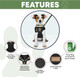 Luxury Dog Bentley Harness Set In Black - Black Neoprene Padded Harness, Collar, Leash And Poop Holder Set Fits Small, Medium And Large Sized Dogs Poop Bag Included (M)