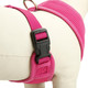 Rnker Soft Mesh Dog Harnesses Padded Vest No Pull Comfort Double Layer Harness For Pet Puppy (Small, Pink)