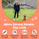 6 Foot Dog Leash, 2 Extra Padded Handles, Lockable Metal Carabiner Clip, Durable Silicone Clamps, Reflective No Pull Heavy Duty Rope Lead, Walking, Training, Running, Medium To Large Breeds