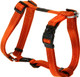 Reflective Adjustable Dog H Harness For Large Dogs Matching Collar And Leash Available, Orange Reflective Adjustable Dog H Harness For Large Dogs Matching Collar And Leash Available, Orange