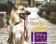 Rogz Utility Small 3/8-Inch Reflective Nitelife Dog Collar, Purple