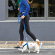 Reflective Dog Leash For Small Dogs, 3/8 Wide, 6' Long, Yellow Reflective Dog Leash For Small Dogs, 3/8 Wide, 6' Long, Yellow