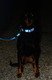 Reflective Adjustable Dog Step In Harness For Large Dogs Matching Collar And Leash Available, Green Reflective Adjustable Dog Step In Harness For Large Dogs Matching Collar And Leash Available, Green