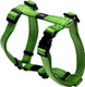 Reflective Adjustable Dog H Harness For Small To Medium Dogs Matching Collar And Leash Available, Green Reflective Adjustable Dog H Harness For Small To Medium Dogs Matching Collar And Leash Available, Green