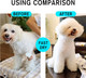 Dog Dryer For Large Dogs, Dog Blow Dryer, High Velocity Dog Hair Dryer, Pet Dryer Pet Grooming With Adjustable Speed And Temperature, With Dog Steel Comb, Brush, Nozzles And Storage Bag