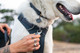Ruffwear, Crag Ex Leash, Extendable Dog Leash, Hand-Held Or Waist-Worn Reflective Lead, Alpine Dusk Ruffwear, Crag Ex Leash, Extendable Dog Leash, Hand-Held Or Waist-Worn Reflective Lead, Alpine Dusk