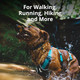 Ruffwear, Flagline Dog Harness, Lightweight And Reflective, No Pull Dog Lift Harness For Hiking, Running And Everyday Use, Salmon Pink, Small Ruffwear, Flagline Dog Harness, Lightweight And Reflective, No Pull Dog Lift Harness For Hiking, Running And Everyday Use, Salmon Pink, Small
