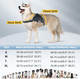Light Up Dog Harness No Pull Dog Harness Rechargeable Lighted Pet Vest Harness For Night Walking, Reflective Dog Vest Glow Dog Collar, Adjustable Soft Padded Leash, 7 Colors Changing, 3 Led Modes Light Up Dog Harness No Pull Dog Harness Rechargeable Lighted Pet Vest Harness For Night Walking, Reflective Dog Vest Glow Dog Collar, Adjustable Soft Padded Leash, 7 Colors Changing, 3 Led Modes