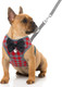 Rypet Small Dog Harness And Leash Set - No Pull Pet Harness With Soft Mesh Nylon Vest For Small Dogs And Cats Red M