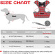Rypet Small Dog Harness And Leash Set - No Pull Pet Harness With Soft Mesh Nylon Vest For Small Dogs And Cats Red M