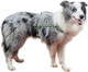 Dog Harness For Large Dogs, No Pull Dog Harness With 2 Adjustable Points & 1 Leash Clip, Reflective Comfortable Dog Vest With Easy Control Handle Ideal For Walking And Training, Army Green,Xl Dog Harness For Large Dogs, No Pull Dog Harness With 2 Adjustable Points & 1 Leash Clip, Reflective Comfortable Dog Vest With Easy Control Handle Ideal For Walking And Training, Army Green,Xl