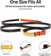 Scotch&Co Premium Pet Leash For Pets - Fine Fiber Leather Pet Leash With Easy-Grip Handle Gold Brass Carabiners With 2” Lobster Clasp Orange And Yellow Color Block Leash
