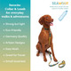 Leash For Small And Medium Dogs - Comfortable, Strong, Safe For All Breeds - Green Stripe - 3/4 X 5 Foot