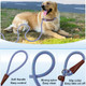 2-Pack Slip Lead Dog Leash 5Ft, Strong Nylon Rope Dog Training Leash For Medium Large Dogs, Active Pets Behavior Correct Exercise And Outdoor Walking