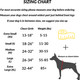 Shawnco Essential Harness, Leash & Collar Set (Moonglow, M) Shawnco Essential Harness, Leash & Collar Set (Moonglow, M)