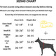 Shawnco Essential Dog Harness, No-Pull Pet Vest With 3 Leash Clips, No Choke, Reflective, Adjustable And Padded, For Easy Walking And Training For Small, Medium And Large Dogs (Mustang Red, S) Shawnco Essential Dog Harness, No-Pull Pet Vest With 3 Leash Clips, No Choke, Reflective, Adjustable And Padded, For Easy Walking And Training For Small, Medium And Large Dogs (Mustang Red, S)