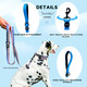 Shawnco Dream Walk Dog Leash- Premium, Nylon Pet Leash With Soft Neoprene Handle For Small, Medium And Large Dogs (Orchid, Medium/Large) Shawnco Dream Walk Dog Leash- Premium, Nylon Pet Leash With Soft Neoprene Handle For Small, Medium And Large Dogs (Orchid, Medium/Large)