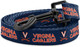 Virginia Cavaliers Collars And Leashes Officially Licensed Adjustable-Fits All Pets (6 Ft Leash)