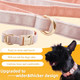 Dog Collar And Leash Set Adjustable Dog Collar Velvet Dog Collar With Short Velvet Texture,Soft And Strong And Durable,3.9 Ft Dog Leash Length For Small And Medium Dogs (S, Pink)