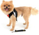Smalllee_Lucky_Store Bowtie Small Dog Tuxedo Harness For Puppy Boy, Adjustable Soft Mesh Cat Harness Vest Leash Set Black L