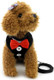Smalllee_Lucky_Store Bowtie Small Dog Tuxedo Harness For Puppy Boy, Adjustable Soft Mesh Cat Harness Vest Leash Set Black L