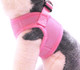 Soft Mesh Comfy Step In Dog Vest Harness Tiny Xs Small Dogs 2-16 Lbs Teacup Mini Toy Puppy (Baby Pink, Xs 9.5-11.5 2-4 Lbs)