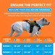 Sparklypets No Pull Dog Harness For Medium & Large Dogs – Heavy Duty Dog Harness With Handle And Poop Bag Holder Pocket – Adventure Tactical Dog Harness For Any Condition (Green Range, Range 2)