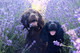 Pet Deodorizing Fur Refresher Spray- All-Natural Rejuvenator Mist, With Botanicals And Essential Oils Featuring A Lavender Scent Made In The Usa 9Oz Pet Deodorizing Fur Refresher Spray- All-Natural Rejuvenator Mist, With Botanicals And Essential Oils Featuring A Lavender Scent Made In The Usa 9Oz