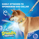 Characters Best Friends 4 Foot Dog Leash (48 Inch) Cute Yellow And Pink Dog Leash From Nickelodeon Spongebob, Dog Apparel & Accessories, Multi (Ff16946) Characters Best Friends 4 Foot Dog Leash (48 Inch) Cute Yellow And Pink Dog Leash From Nickelodeon Spongebob, Dog Apparel & Accessories, Multi (Ff16946)