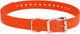 Sportdog Brand 3/4 Inch Collar Straps - Waterproof And Rustproof - Tighlty Spaced Holes For Proper Fit - Orange