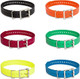 Sportdog Brand 1 Inch Collar Straps - Waterproof And Rustproof - Tightly Spaced Holes For Proper Fit - Red